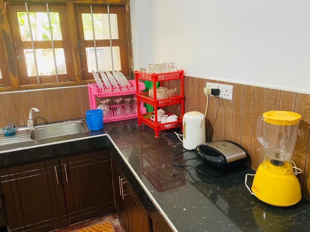 Akash Villa Talaramba エクステリア 写真